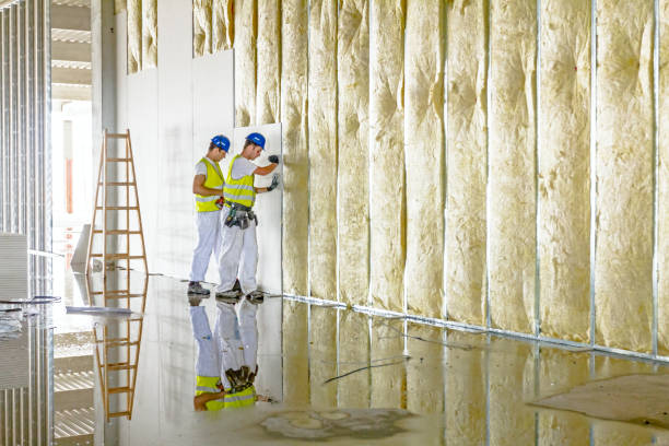 Insulation Repair Services in Westfield, IN